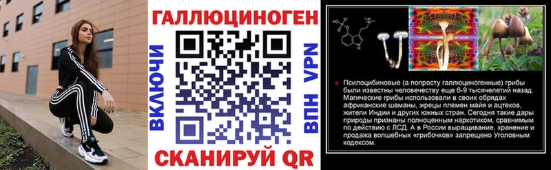 купить наркотик  Салаир  Галлюциногенные грибы мицелий 